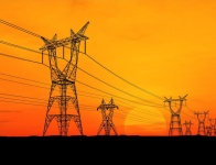 tebnad / Photogenica